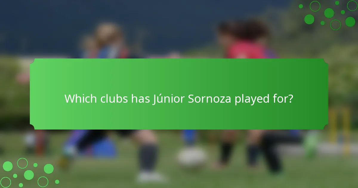 Which clubs has Júnior Sornoza played for?